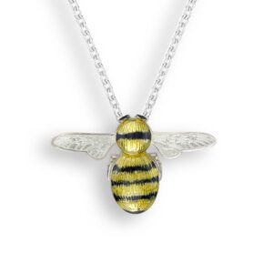 Black and yellow enamelled silver bee pendant on necklet from AA Thornton Kettering Northampton
