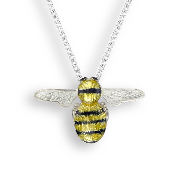 Black and yellow enamelled silver bee pendant on necklet from AA Thornton Kettering Northampton